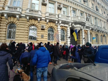 Сторонники "ДогТауна" пришли дрессировать собак к зданию полиции Одесской области