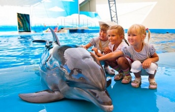 Верховный суд: Международные зоозащитники могут инициировать запрет деятельности дельфинариев в Украине