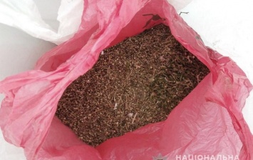 В Кировоградской области у двух жителей изъяли около 11 кг наркотиков