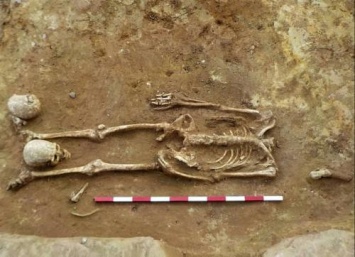 В Лондоне обнаружен обезглавленный скелет ребенка с черепом, помещенным между ногами