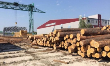 Украина перешла на европейские стандарты качества древесины