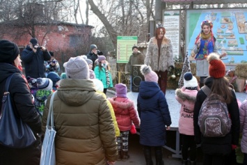 Рождественские сказки и викторины - в Одесском зоопарке провели яркий праздник