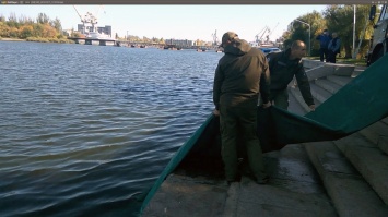 За год в водоемы Украины выпустили более 41 млн рыб: на Николаевщине более 2 млн