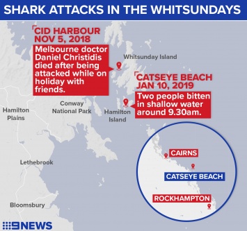 У берегов Австралии акула напала на двух беспечных купальщиц. Фото