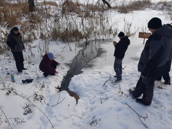 В озеро на Оболони сливают сточные воды