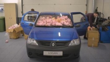 Полный «Логан» свиней: Вместимость Renault Logan проверили с помощью поросят