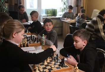 Бердянские шахматисты определяют сильнейших