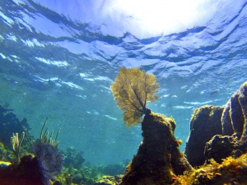 Новое исследование показало, что океаны нагреваются еще быстрее, чем считалось ранее