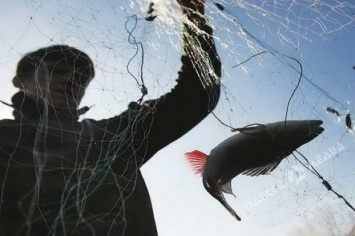 На Одесчине зафиксировали 58 нарушений правил рыбной ловли