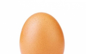 Фото куриного яйца стало рекордсменом Instagram (фото)