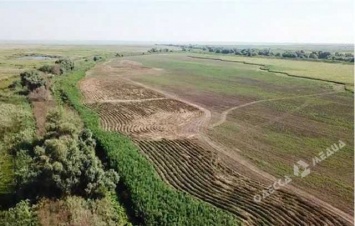 За 2018 год аграрии арендовали вдвое больше земель Одесчины, чем годом ранее