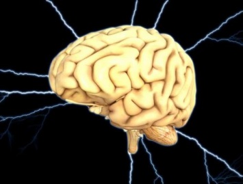 Ученые создали новую теорию работы мозга