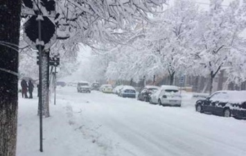 От аномального снегопада в Европе погибли более 20 человек