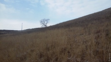В Одессе семьям погибших воинов АТО выделили землю на крутом склоне горы и в овраге