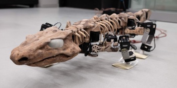 Ученые оживили скелет существа, жившего 290 миллионов лет назад