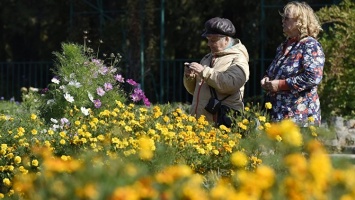 Цветущий город: Симферополь хотят превратить в ботанический сад