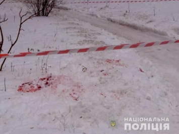 Стрельба в Харькове. Полицейские обратились к водителям