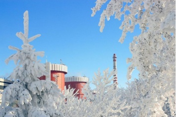 Французско-финская компания поставит запчасти к дизель-генераторам ЮУ АЭС на 80,28 млн. грн