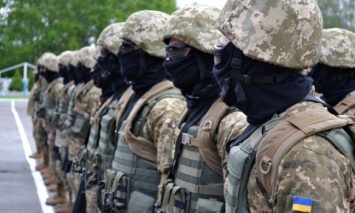 За время боевых действий на Донбассе погибли 70 бойцов Сил специальных операций