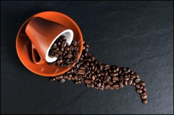 Под угрозой вымирания оказались более половины видов дикого кофе