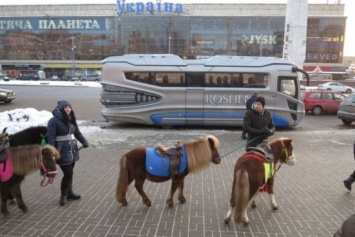 Необычный автобус удивил киевлян (видео)