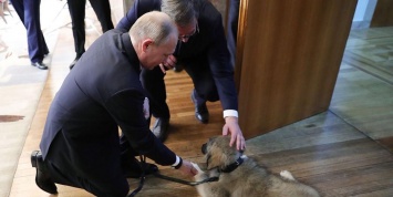 Президент Сербии подарил Путину щенка Пашу