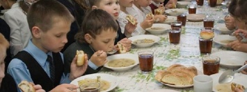 На Днепропетровщине поймали чиновника погоревшего на взятке за питание в школе