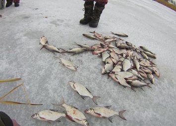 Видимо, клев был: на Софиевском водохранилище рыбаки добыли больше, чем 3 кг на 1 человека, за что были оштрафованы