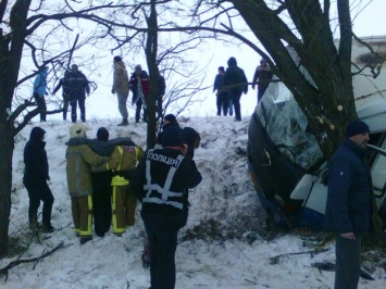 На Херсонщине расследуют ДТП с пострадавшими: автобус с пассажирами въехал в дерево