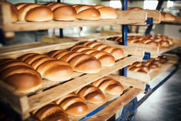 Украинцам надо приготовиться к подорожанию хлеба: совсем скоро
