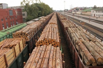 Мораторий на экспорт леса-кругляка под угрозой из-за действий правительства
