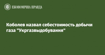 Коболев назвал себестоимость добычи газа "Укргазвыдобування"
