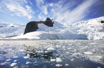 В подледном озере Антарктиды найдены останки тихоходок