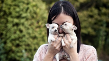 Покупка щенка обернулась потрясением для девушки: "Выросло что-то не то"