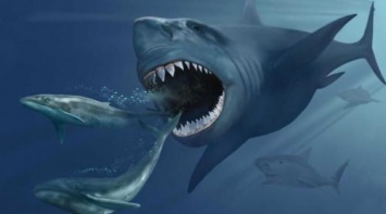 Открытый вид древней акулы назвали в честь классической видеоигры игры Galaga