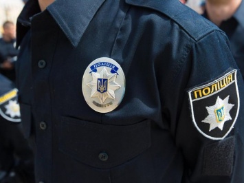 Экологи обратятся в полицию по факту гибели льва из зоопарка Покровска
