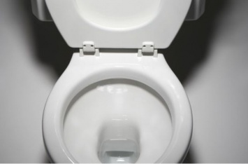 Ученые утверждают, что вода из туалета таит смертельную опасность