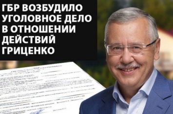 ГБР возбудило уголовное дело в отношении действий Гриценко, - СМИ