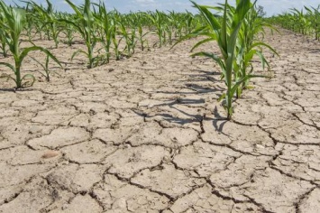 Ученые: Землю ожидают глобальные засухи и острая нехватка пресной воды к 2050 году