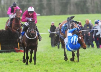 На скачках в Ирландии жокей чудом удержался от падения с лошади, и победил (ВИДЕО)