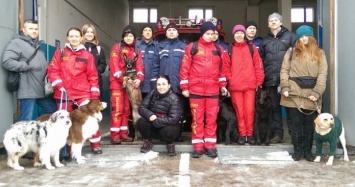 В Павлограде готовят собак-терапевтов