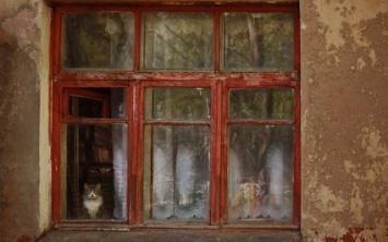 Одесситка забаррикадировалась в квартире с животными: соседи жалуются на постоянную вонь и антисанитарию