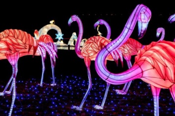 На Певческом поле в Киеве установят гигантские световые инсталляции Анонс