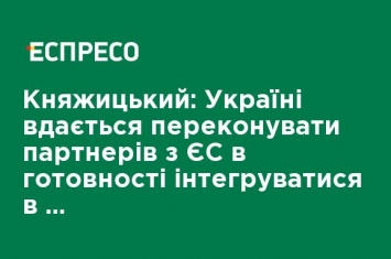 Княжицкий: Украине удается убеждать партнеров по ЕС в готовности интегрироваться в европейское общество