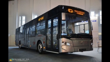 Ивано-Франковск закупил турецкие автобусы на "заточенном" тендере - СМИ