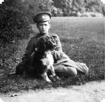 «Собачья верность»: Почему пса цасаревича Алексея Николаевича оставили жить
