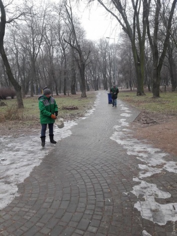 Гололед в Одессе: коммунальщики начали посыпать пешеходные дорожки песком и солью