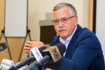 Экс-редактор "Форбс Украина" назвал предвыборную программу Гриценко "плевком в лицо обществу"