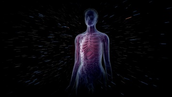 Ученые назвали шесть частей тела, которые человек больше не использует