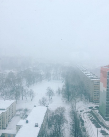 В Москве выпало рекордное за 68 лет количество снега